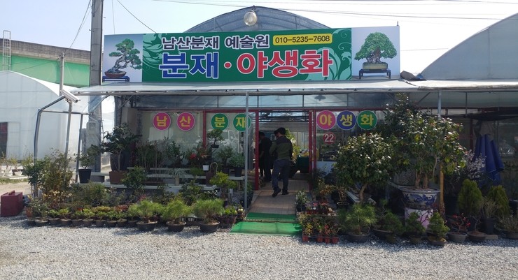 남산분재예술원 이미지