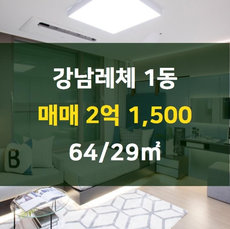 레체 주식회사 이미지