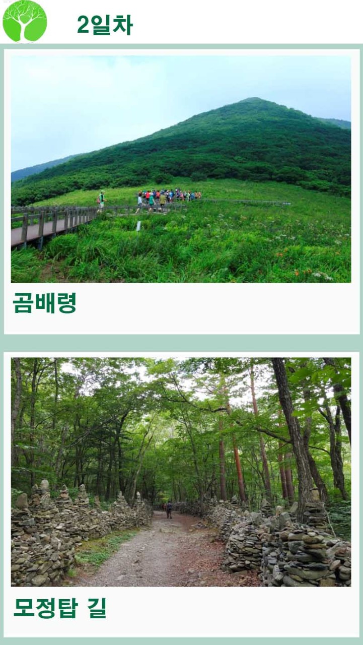 유유관광 이미지