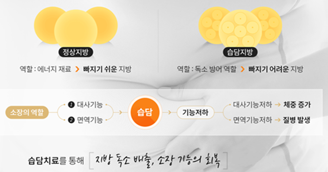 가로세로한의원 이미지