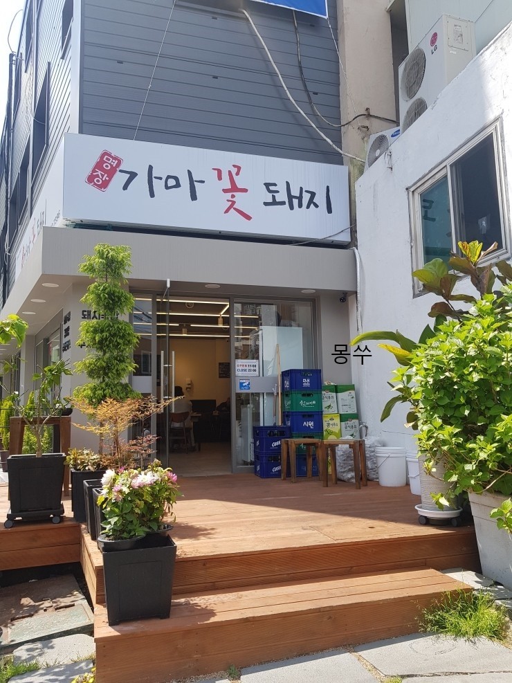 가마꽃돼지 이미지
