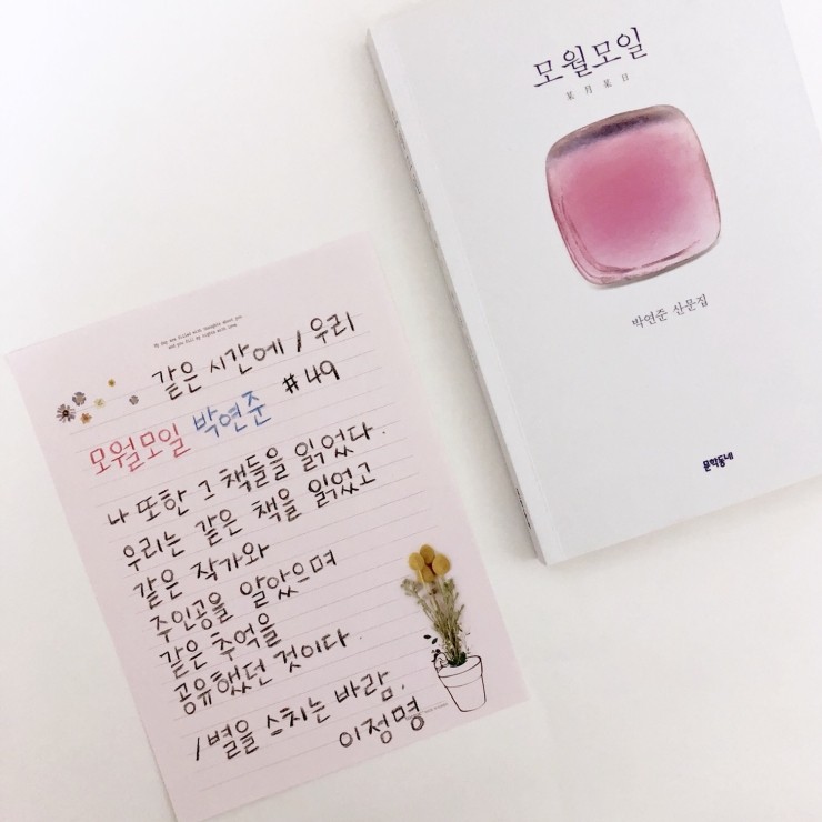 마음이닿다 이미지