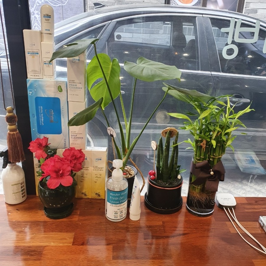 까까머리방 이미지