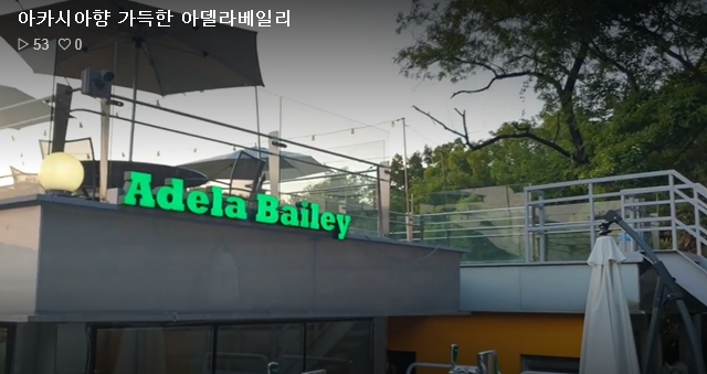 아델라 이미지