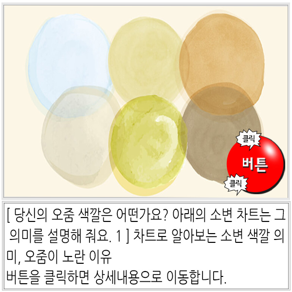 메트린 이미지