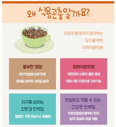 영농조합법인 더듬이(벅스푸드) 이미지