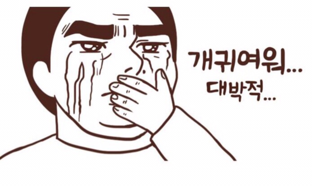 스테이그믐 이미지