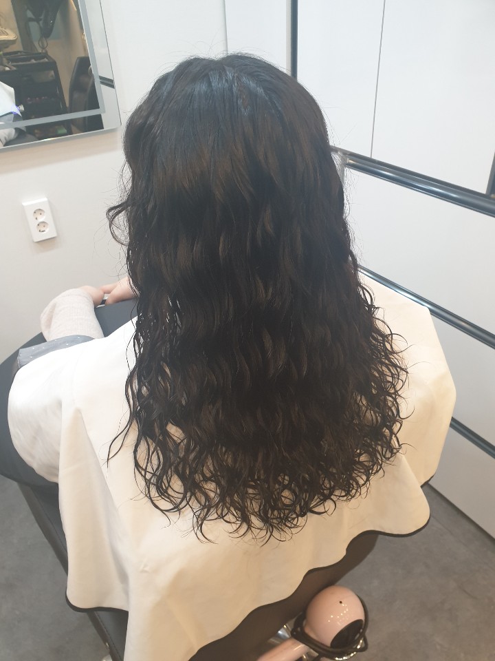 살롱오브 이미지