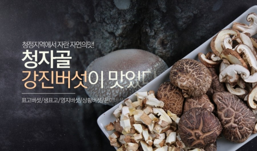 초록소비 이미지