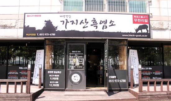 흑염소 한마리 이미지