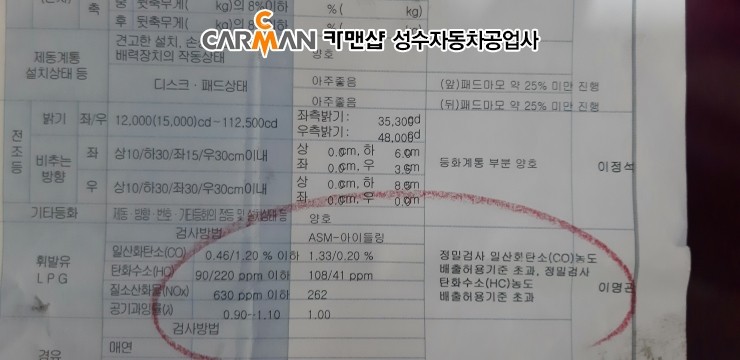 수리브라운 이미지