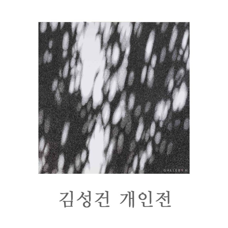 갤러리H 이미지