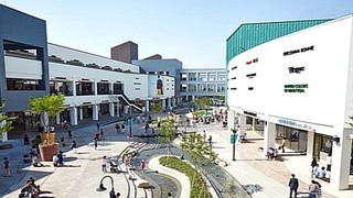 다산유통 이미지