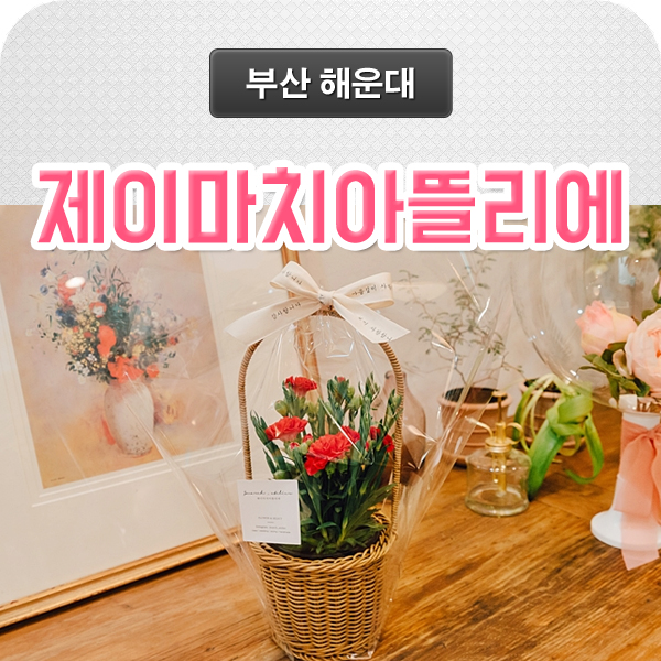 제이마치아뜰리에 이미지