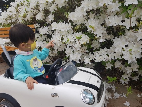 정선농산 이미지