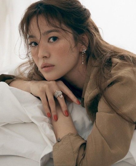 파슈 이미지