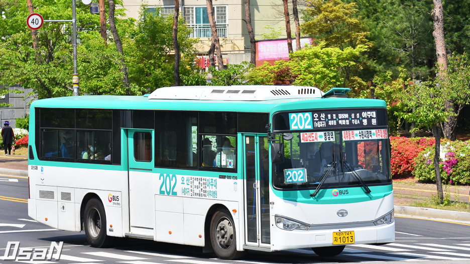 대흥여행사 이미지