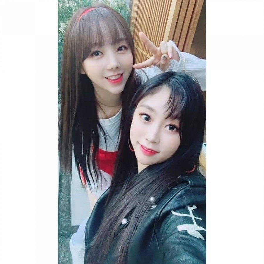 케이보컬 이미지