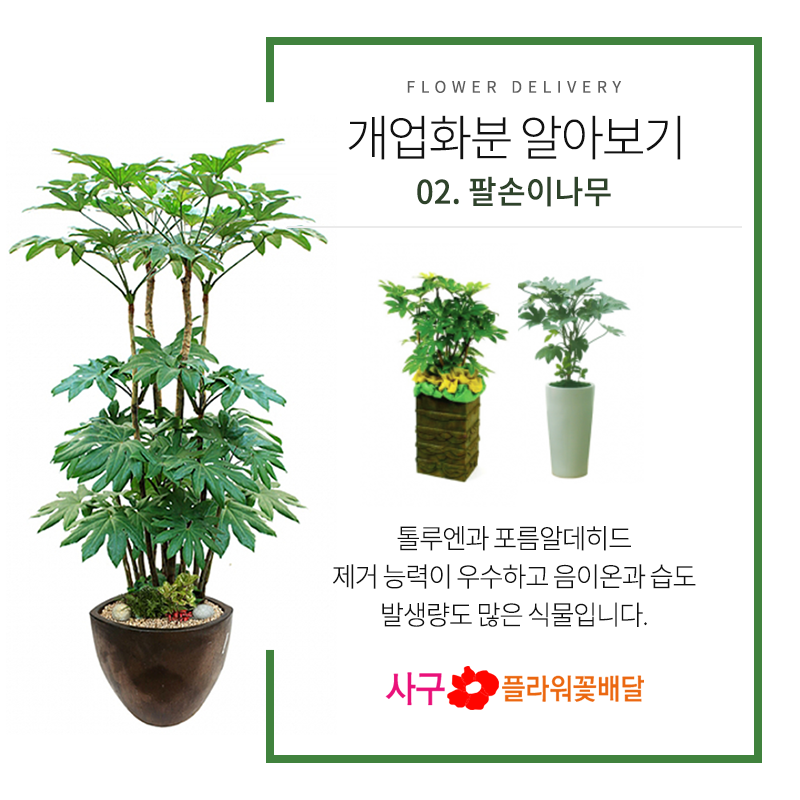 정화고려제과 이미지