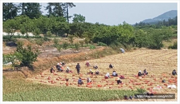포전농산 이미지
