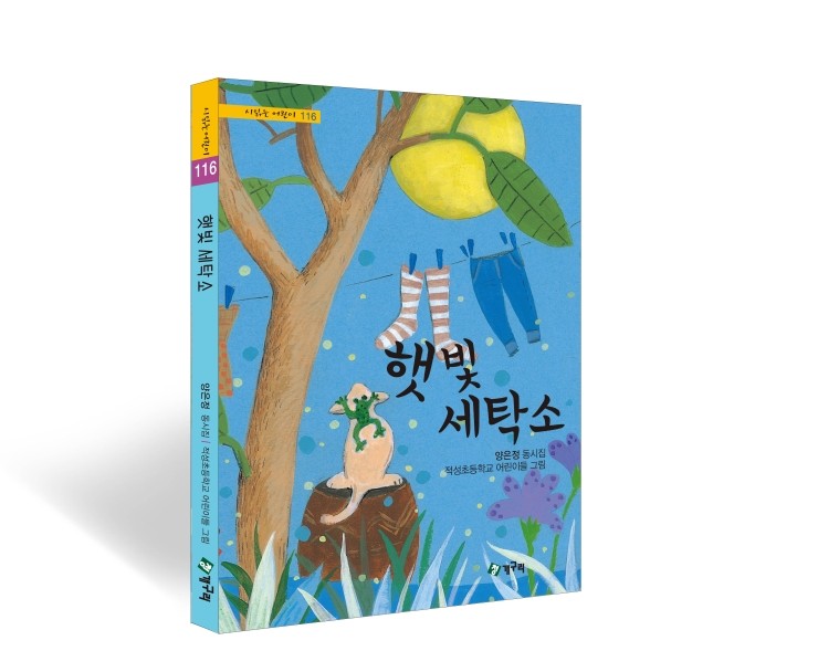 햇빛세탁소 이미지