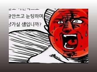 맵픽스 이미지