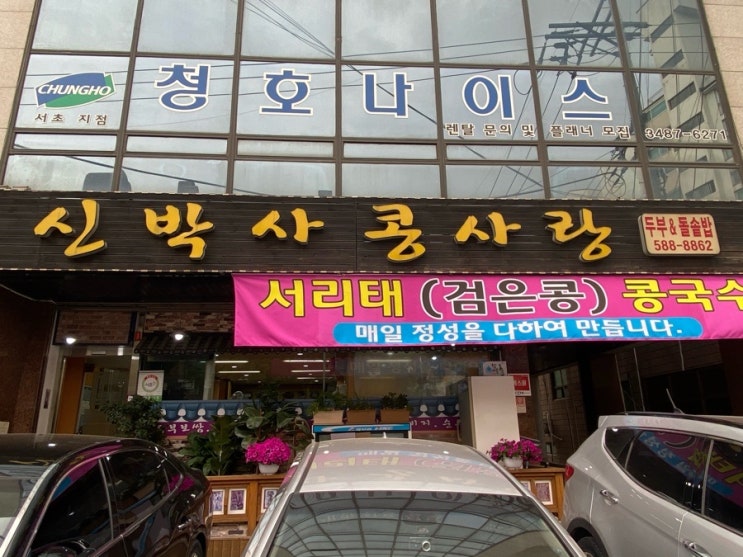 신박사 콩사랑 이미지