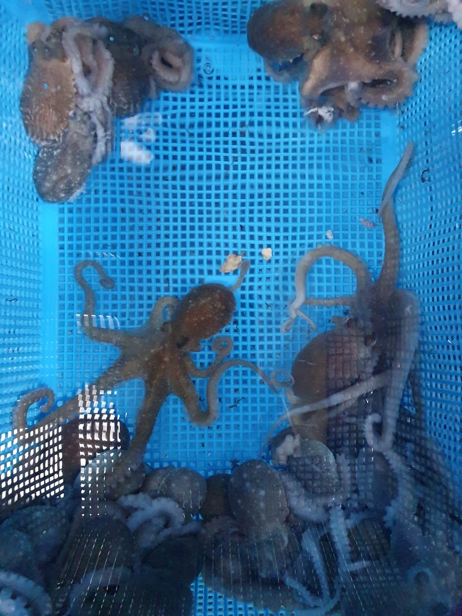 오남수산 이미지