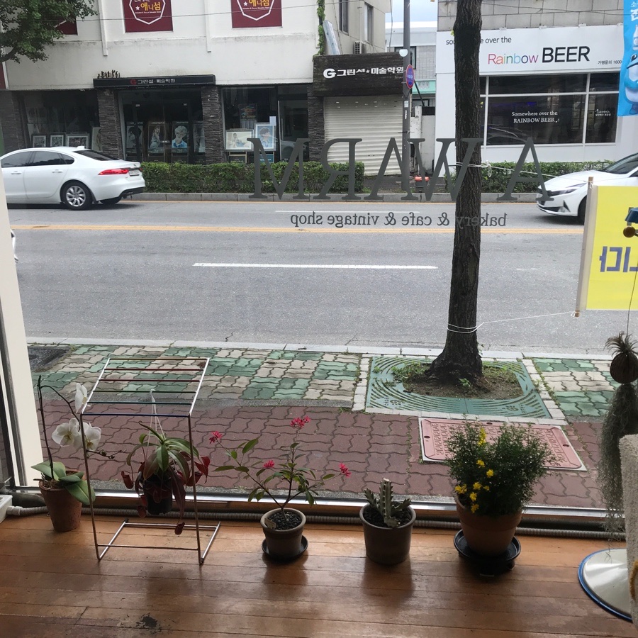어웜 이미지