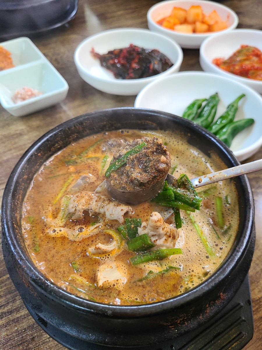 월드여행사 이미지