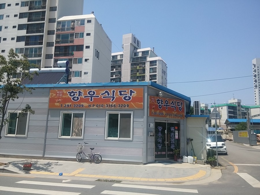 향우백반 이미지