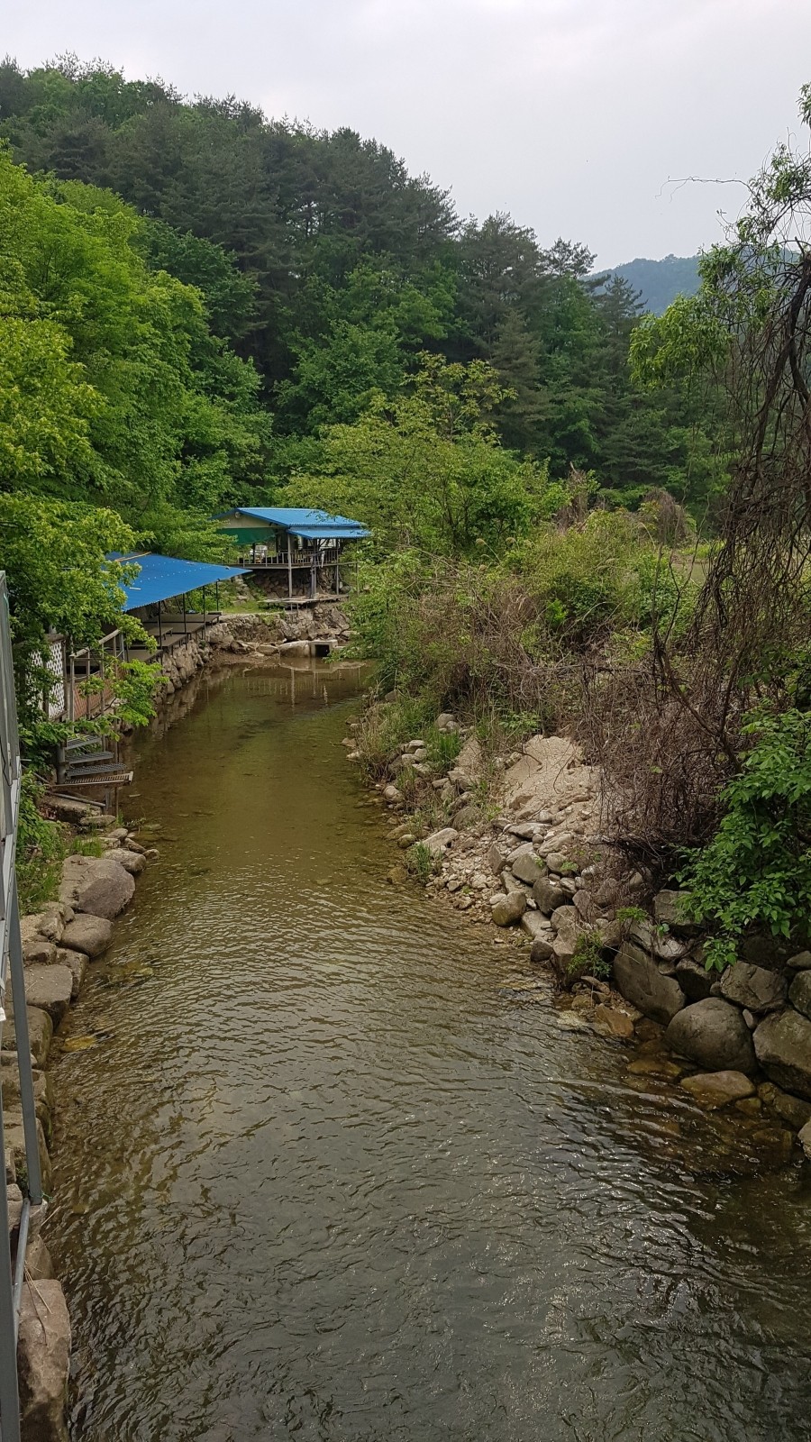 형제고개캠핑장 이미지