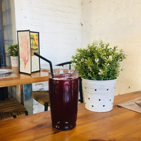 띤또(Tinto) 이미지