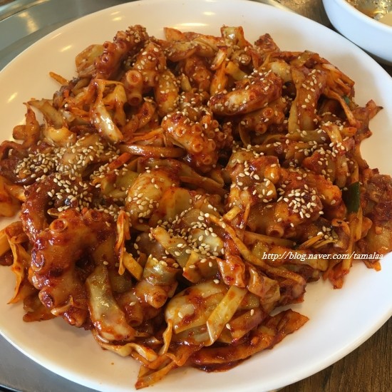 낙지세상 이미지