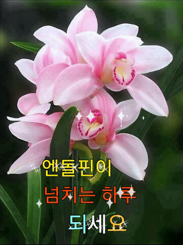 2-1.엔돌핀.gif