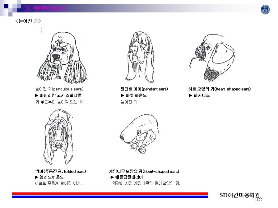 더플라이 이미지