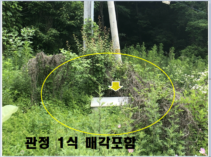표가네왕족발 이미지