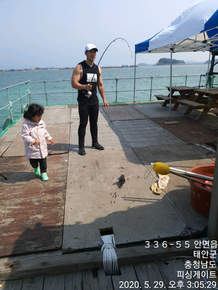 피싱게이트 이미지
