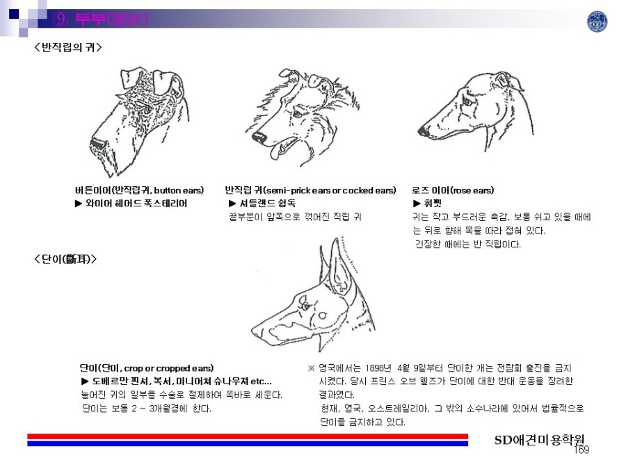더플라이 이미지