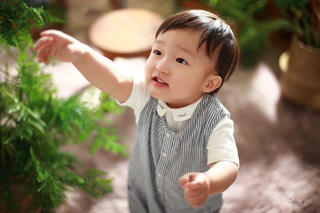 베이비파스텔스튜디오청주 이미지