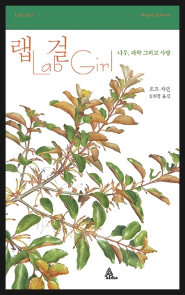 제이호프 이미지
