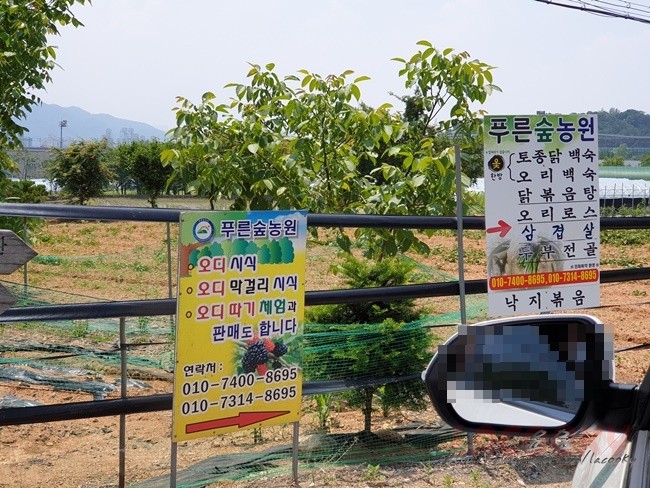푸른숲농원 이미지