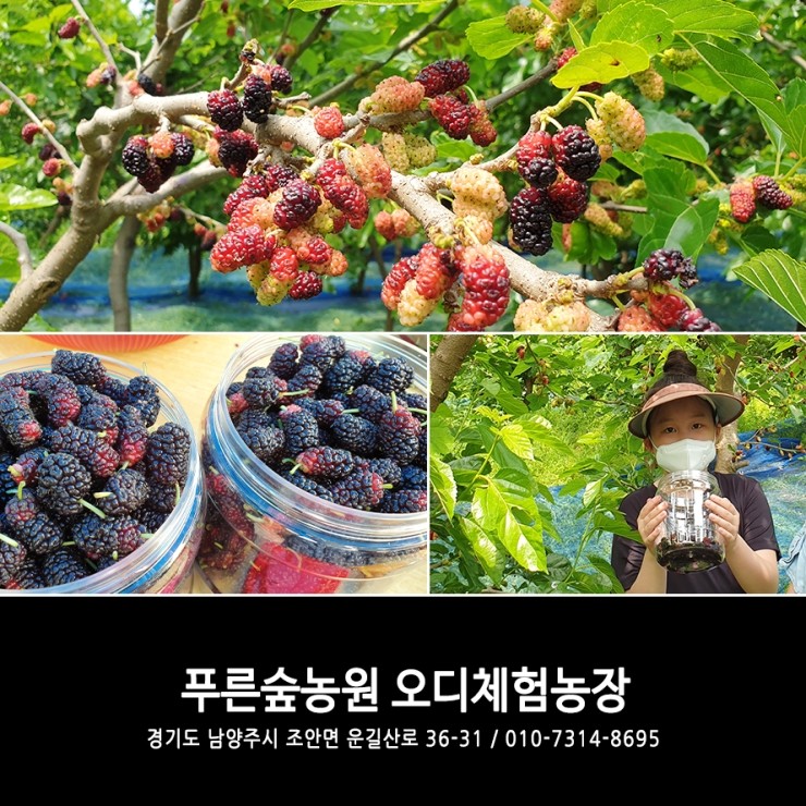 푸른숲농원 이미지