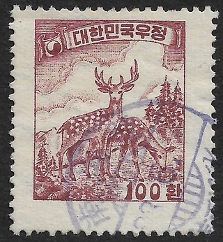 남해호 이미지