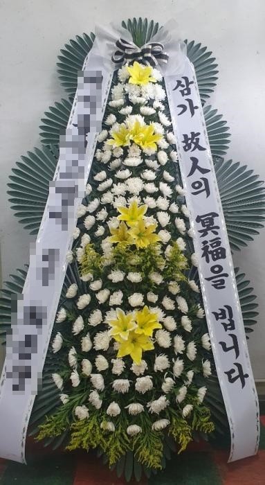 (의)백제병원 이미지