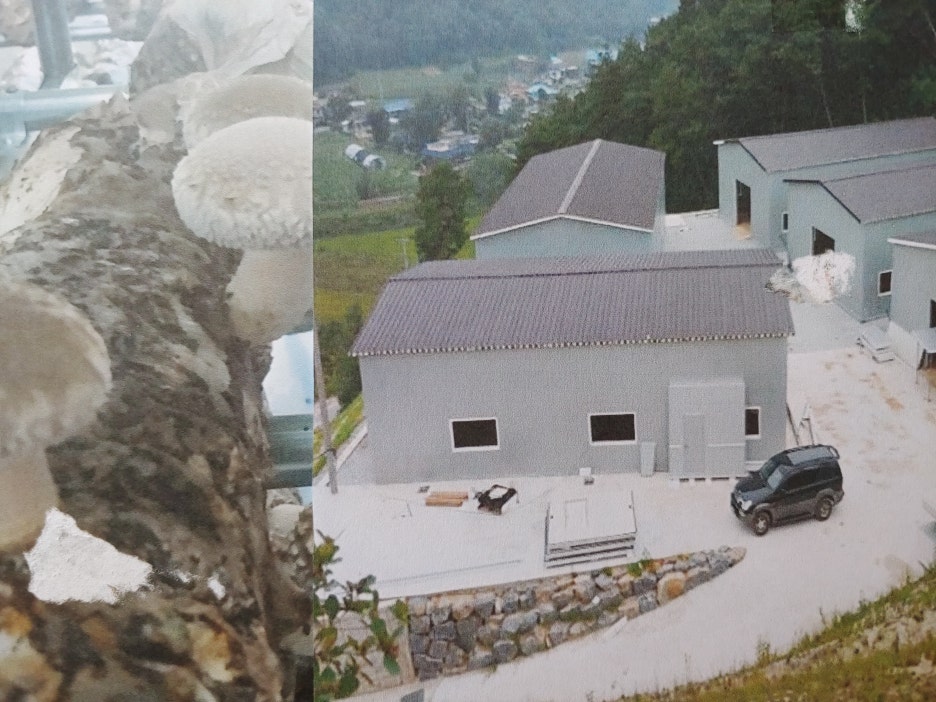 삼양종합건설(주) 이미지