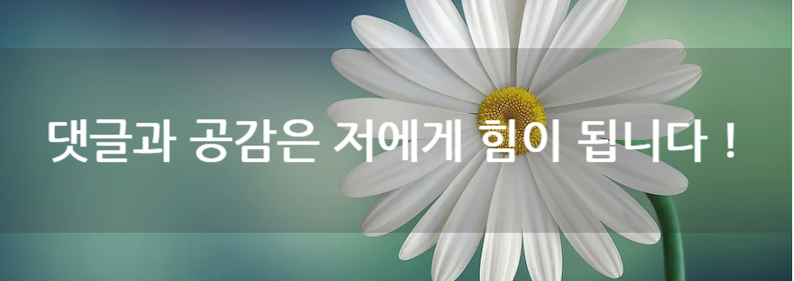 댓글과공감은저에게힘이됩니다4.png