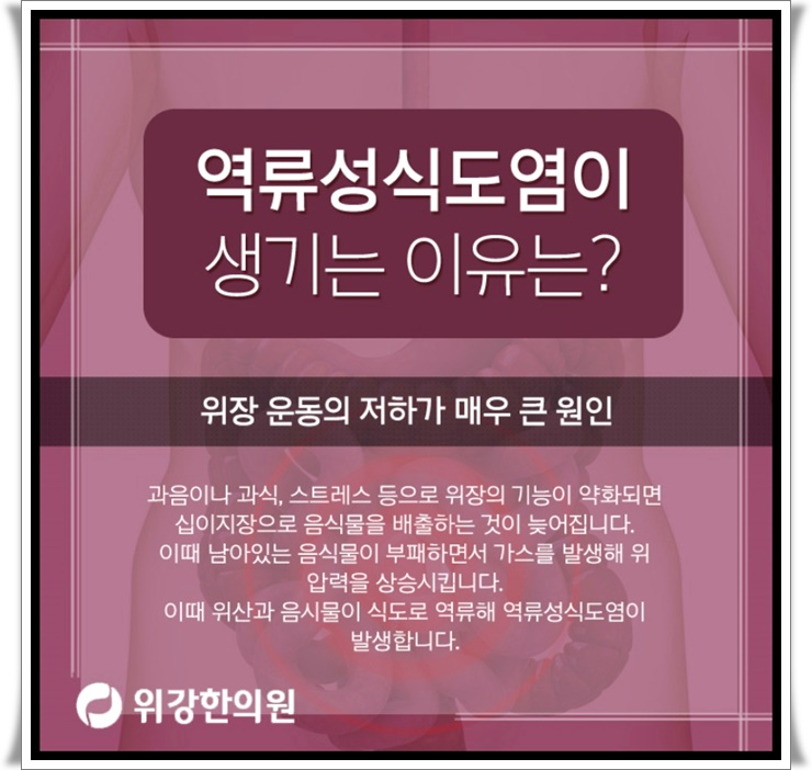 분당본내과의원 이미지