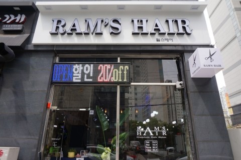 람스헤어 이미지