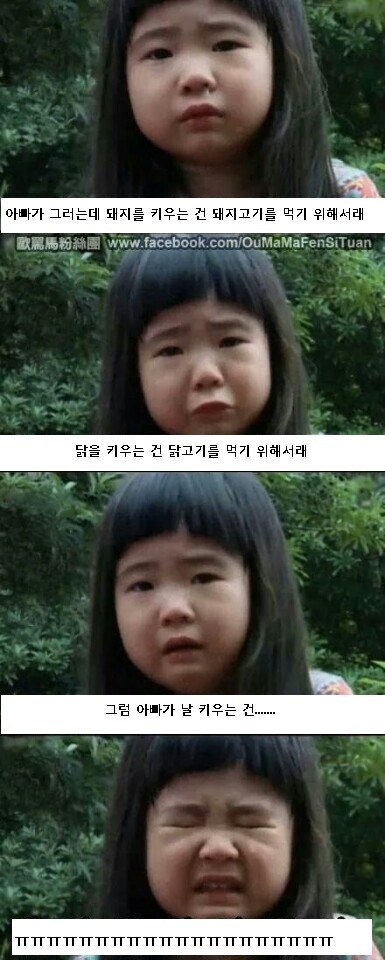 우리도한번잘구워보세 이미지